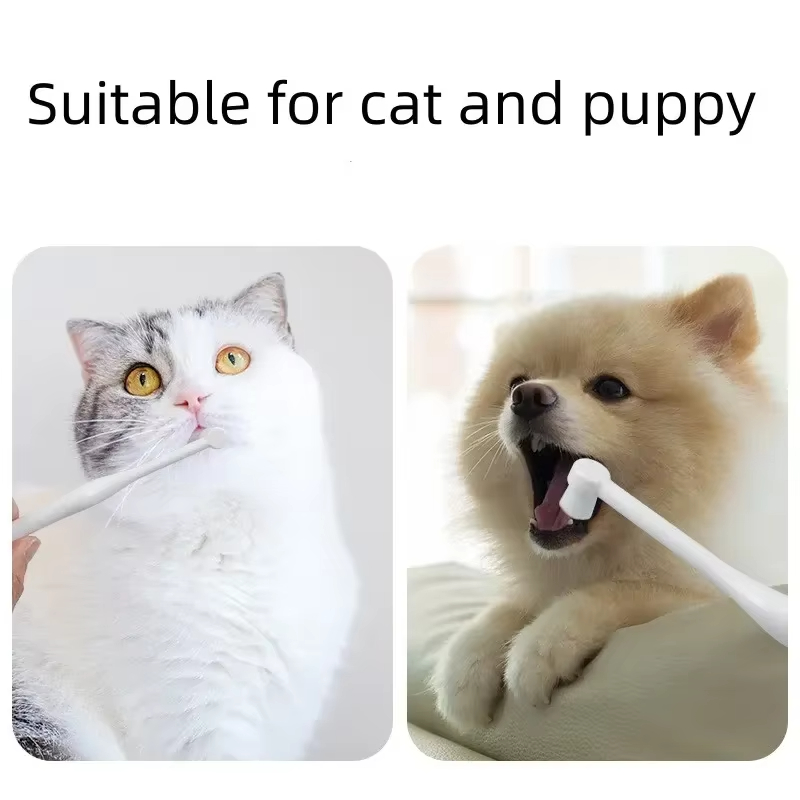 Teeth Whitening Brush - Brosse à dents pour animaux de