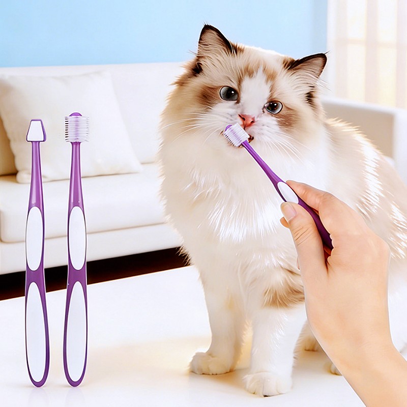 Brosse à dents pour chien 360  - Teeth Whitening Brush avis et prix