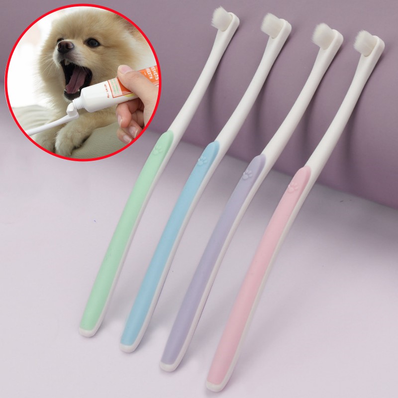 Brosse à dents pour chien, net - Teeth Whitening Brush avis et prix