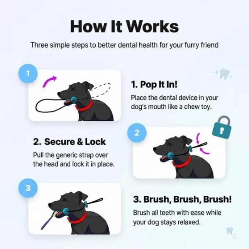 Bâton à mâcher dentaire double - Teeth Whitening Brush avis et prix