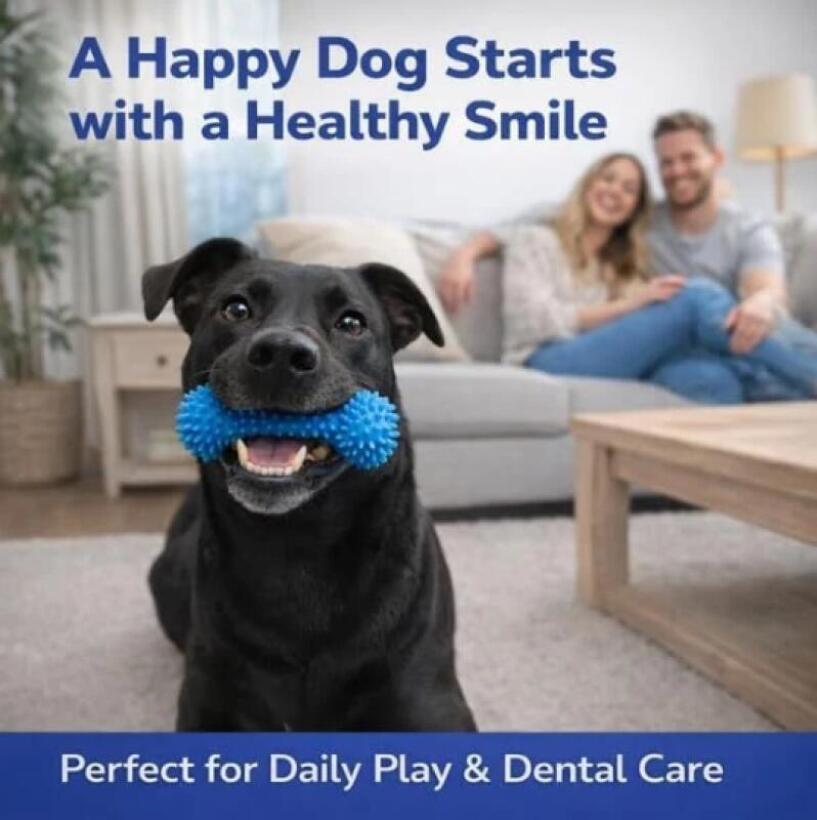 Bâton à mâcher dentaire double - Teeth Whitening Brush avis et prix