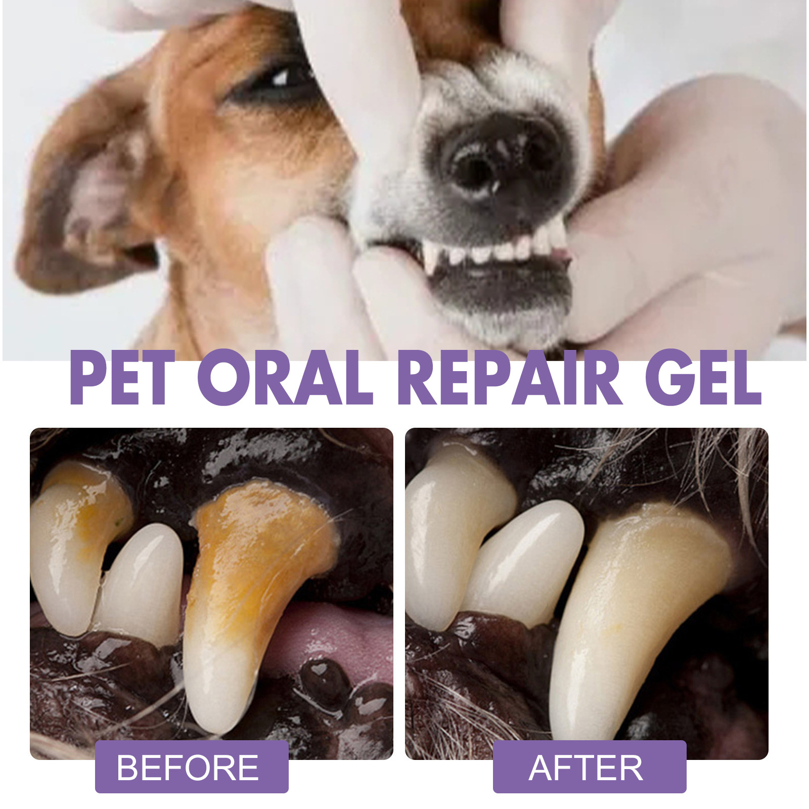 Gel de réparation orale pour a - Teeth Whitening Singapore avis et prix