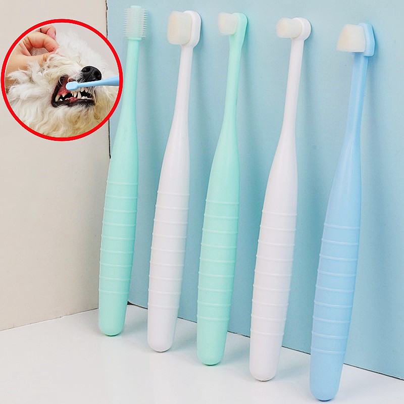 Brosse à dents pour animaux de - Teeth Whitening Brush avis et prix