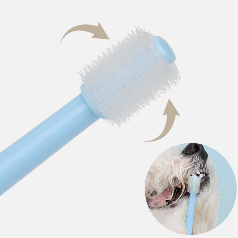 Brosse à dents pour animaux de - Teeth Whitening Brush avis et prix