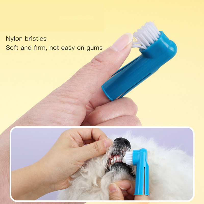 Brosse à dents souple pour chi - Teeth Whitening Brush avis et prix